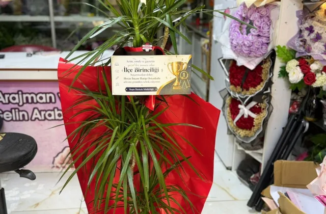 Marginata Çiçeği